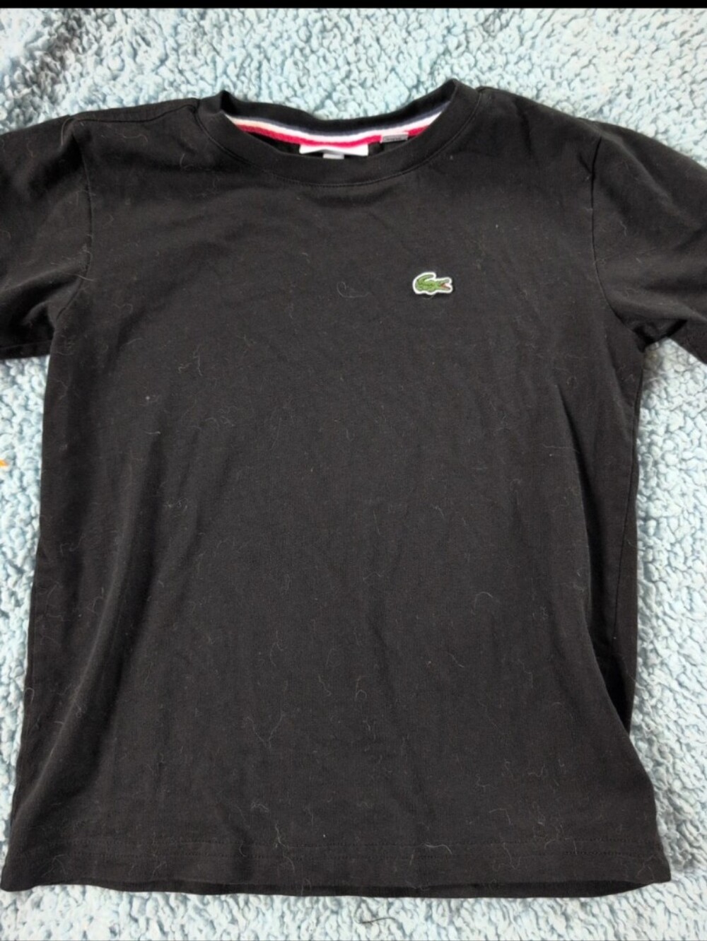 Lacoste Black Short-Sleeve Cotton Tee with Green Crocodile Logo